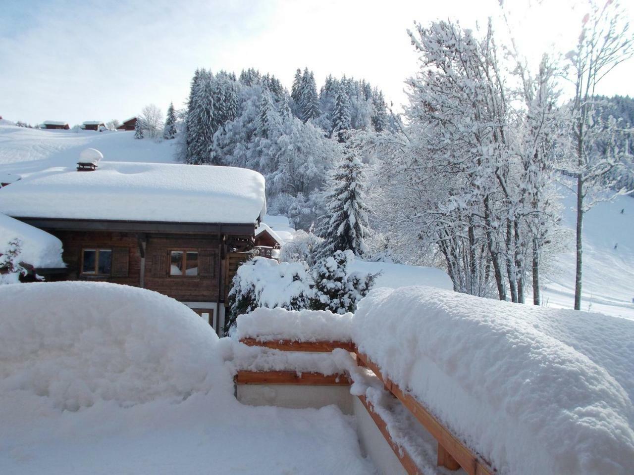 Chalet Jonquille เลส์เฌต์ ภายนอก รูปภาพ