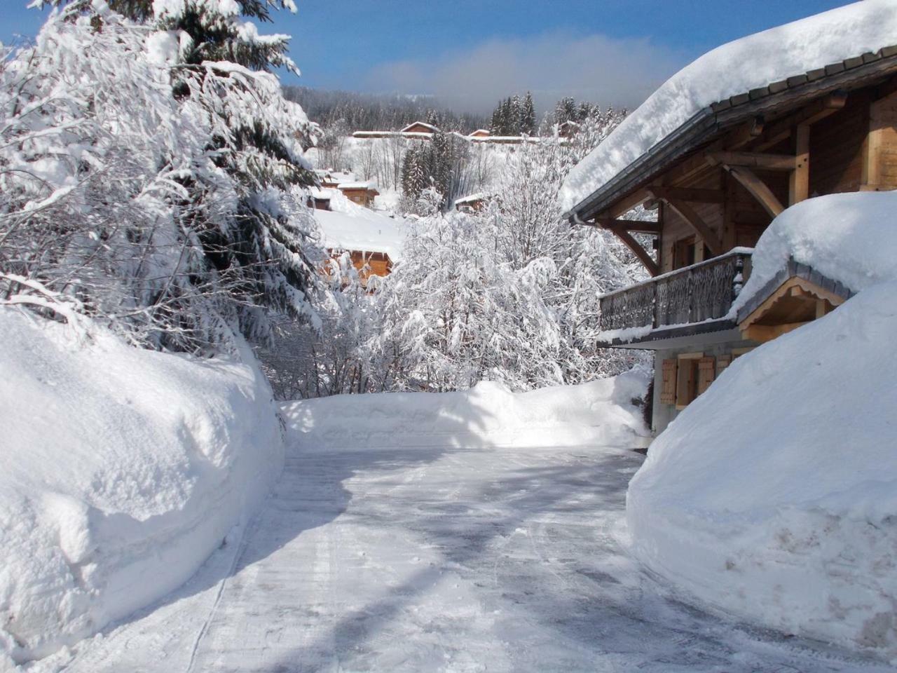 Chalet Jonquille เลส์เฌต์ ภายนอก รูปภาพ
