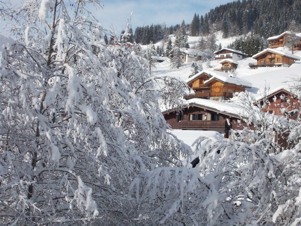 Chalet Jonquille เลส์เฌต์ ภายนอก รูปภาพ